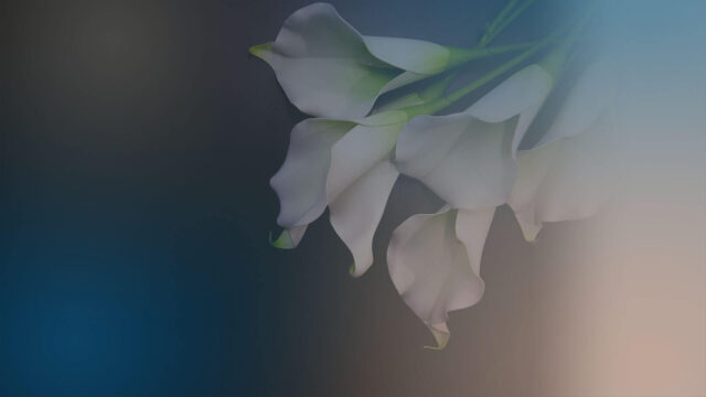 How Long Can You Delay A Funeral In The UK 2023 Reassured
